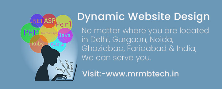 website-design-east-delhi